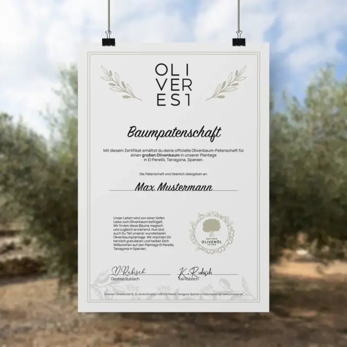 Baumpatenschaftszertifikat für einen großen Olivenbaum von Oliveres1