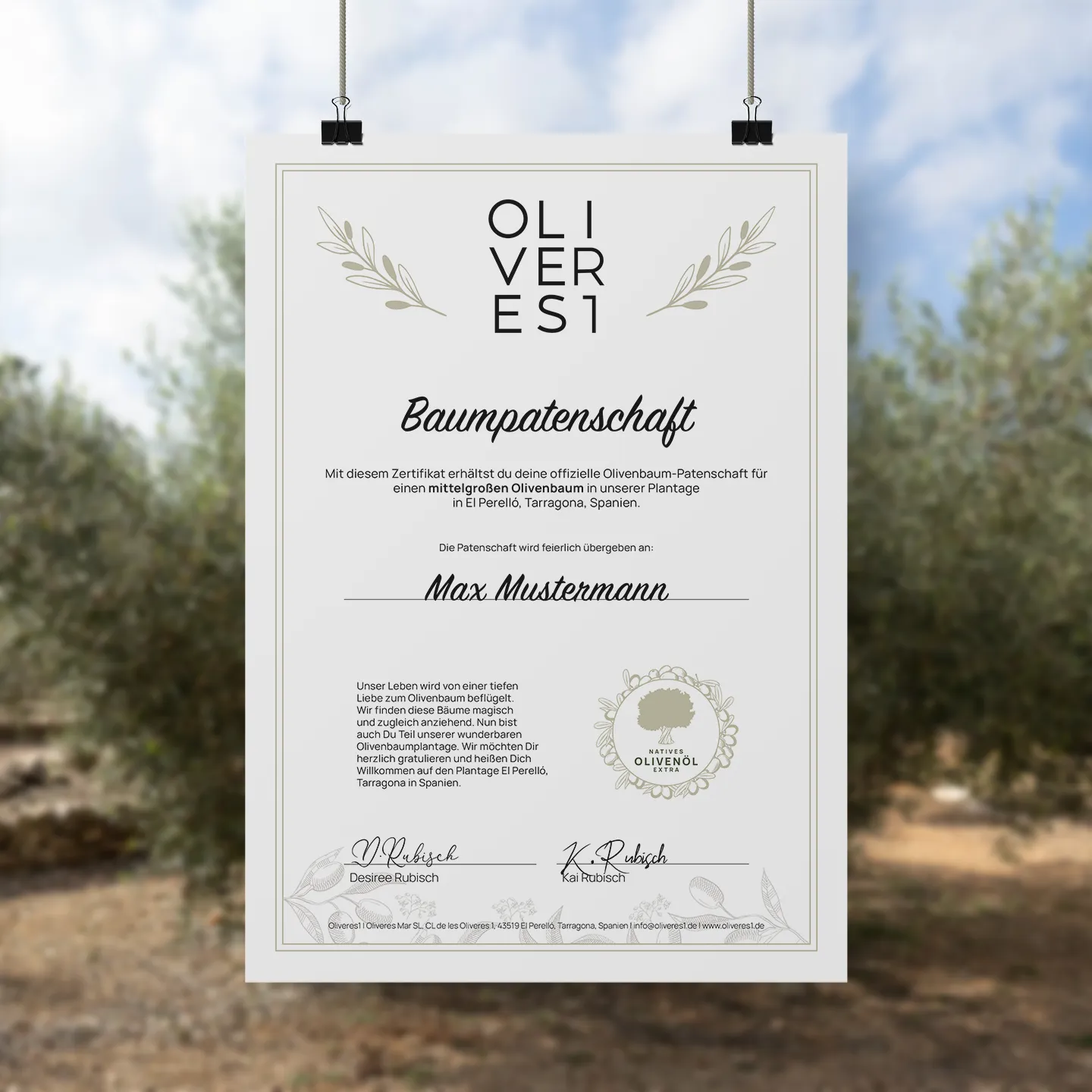 Baumpatenschaftszertifikat für einen mittelgroßen Olivenbaum von Oliveres1
