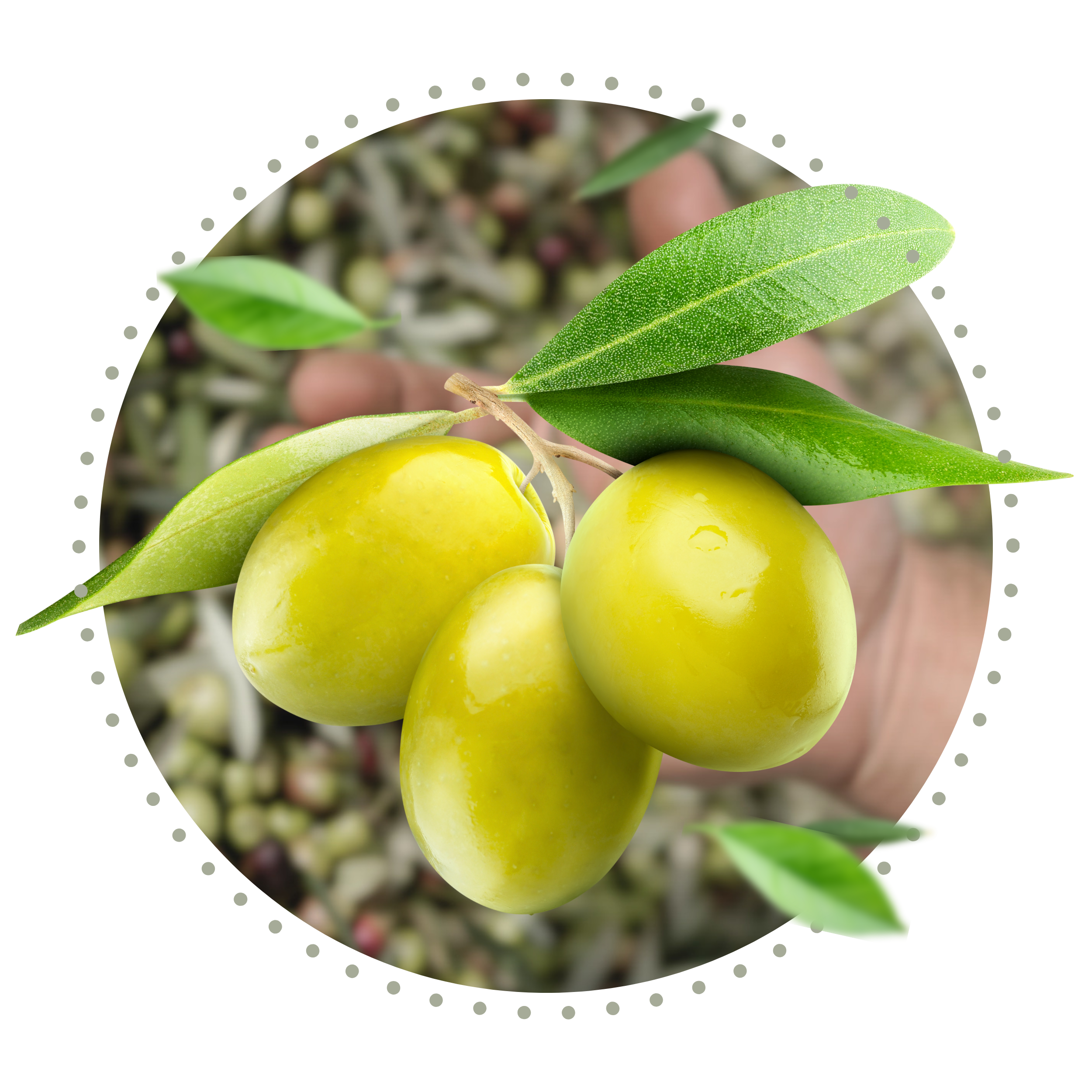 WEIHNACHTS SPEZIAL-12